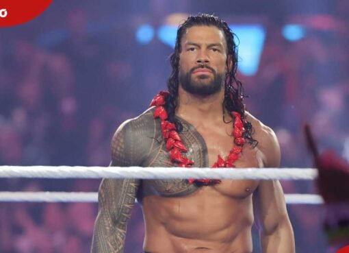 roman reigns' twin brother